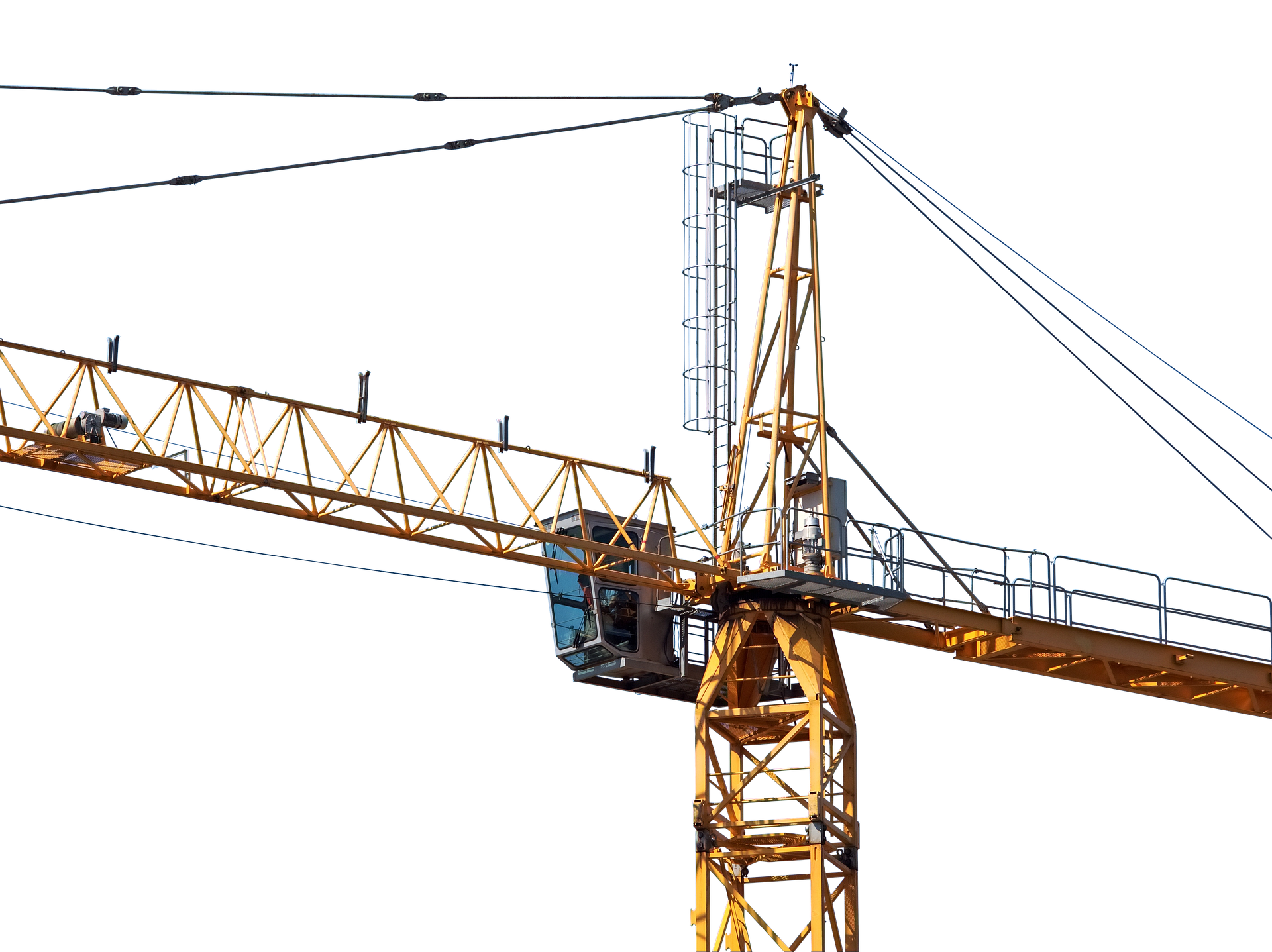 crane-2537934_1920